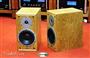 Dynaudio Special 25 - Loa đặc biệt KN thành lập hãng