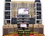 THIẾT BỊ KARAOKE GĐ & CHUYÊN NGHIỆP