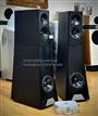 Loa YG Acoustics Vantage